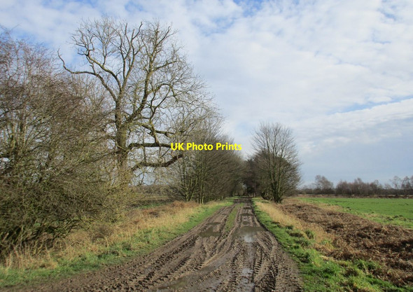 Photo 6"x4" Muddy farm track Tunnel Pits c2017
