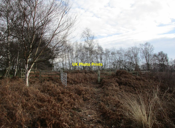 Photo 6"x4" Old animal pen Tunnel Pits c2017