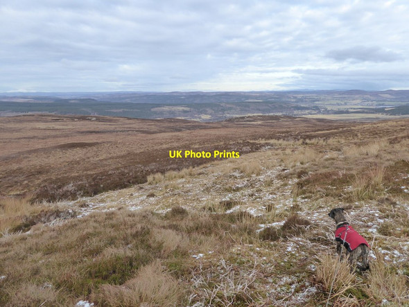 Photo 6"x4" Managed heather moor, Cnoc Bad na h-Oidhche Dounie\/NH5690 c2017