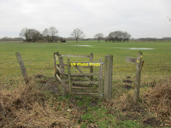 Photo 6"x4" Gate and rather wet field Melbourne\/SE7544 c2017