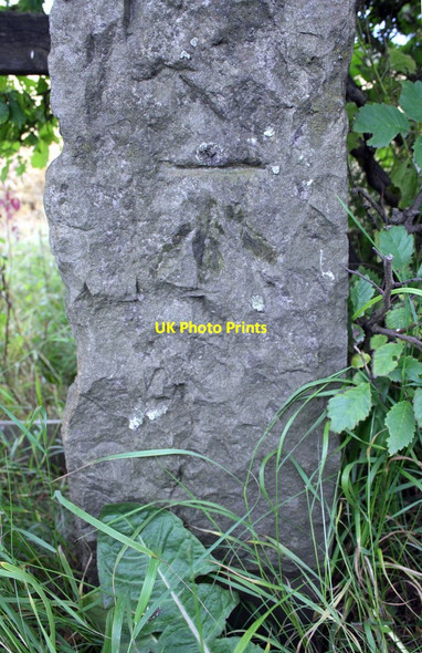 Photo 6"x4" Benchmark on gatepost on south side of A684 west of Middlefields Farm Spennithorne c2016