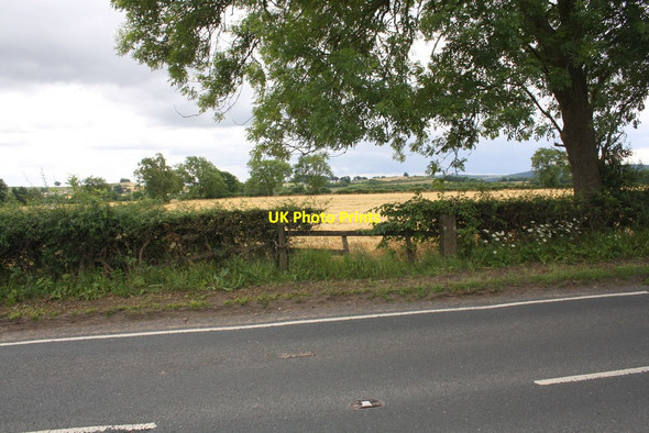 Photo 6"x4" Fenced former field gateway beside A684 west of Middlefields Farm Spennithorne c2016