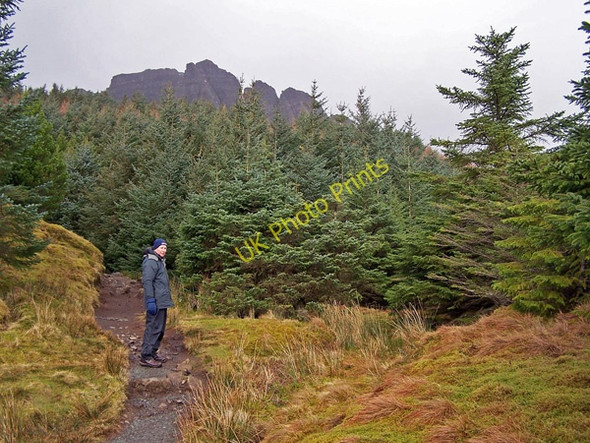 Photo 6"x4" Path to The Storr Old Man of Storr c2009