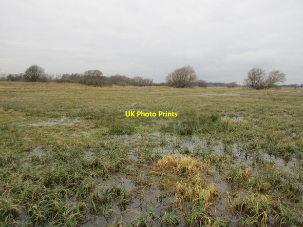Photo 6"x4" Horse Pastures Thornton\/SE7545 c2017