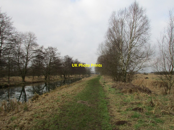 Photo 6"x4" The Pocklington Canal near Melbourne Melbourne\/SE7544 c2017