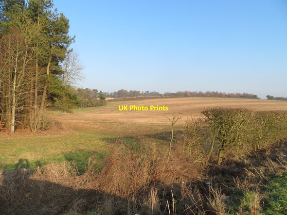 Photo 6"x4" Farmland north of Dummer Down Farm Dummer c2017