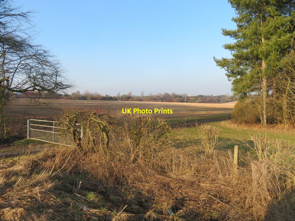 Photo 6"x4" Footpath starts here Dummer c2017
