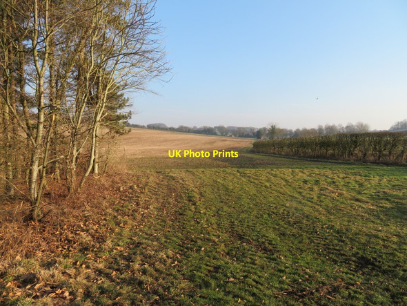 Photo 6"x4" Farmland north of Dummer Down Farm Dummer c2017
