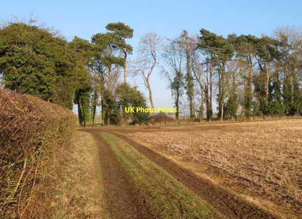 Photo 6"x4" Farm track & footpath Dummer c2017