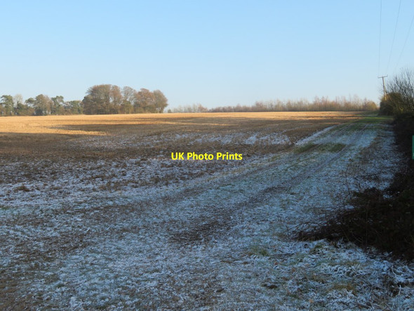 Photo 6"x4" Frost in the shadows Dummer c2017