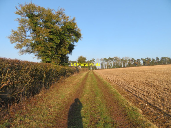 Photo 6"x4" Farm track - Dummer Down Farm Dummer c2017