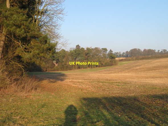 Photo 6"x4" Farmland at Dummer Down Farm Dummer c2017