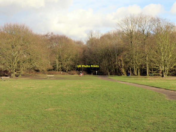 Photo 6"x4" Wimbledon Common Putney Heath c2017