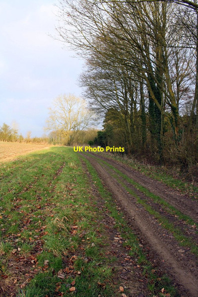 Photo 6"x4" Farmland track approaching Manor Farm Burford\/SP2512 c2017