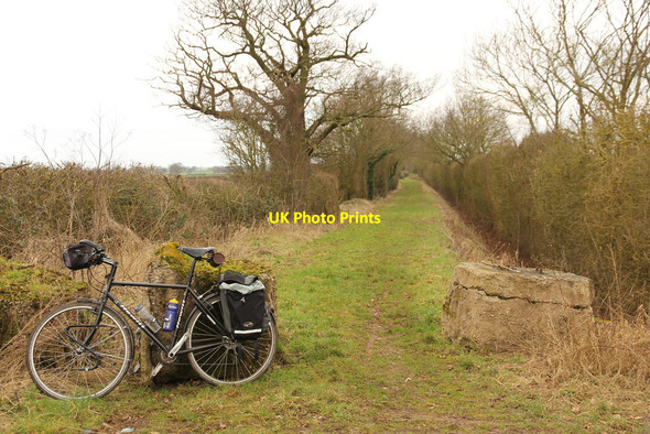 Photo 6"x4" Green Lane Skegby\/SK7870 c2017