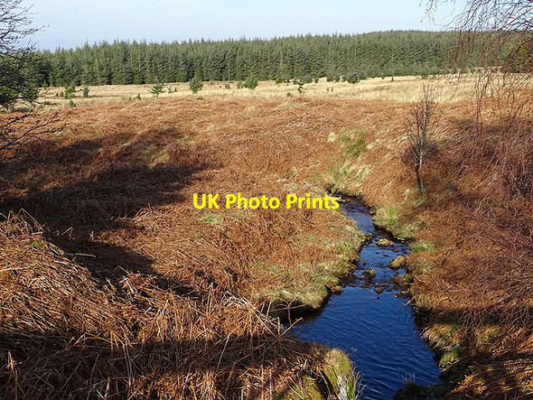 Photo 6"x4" Allt na Criche Trantlebeg c2017