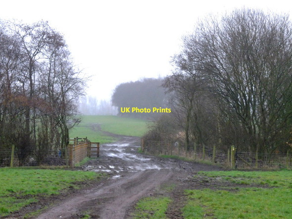 Photo 6"x4" Footpath between Bryn Hall Farm and Bamfurlong Abram c2017