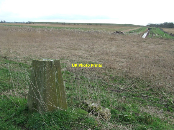 Photo 6"x4" Trig Point Brandon Bank c2017