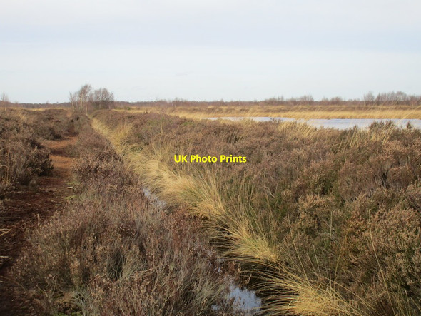 Photo 6"x4" Drain on Hatfield Moors Hatfield Woodhouse c2017