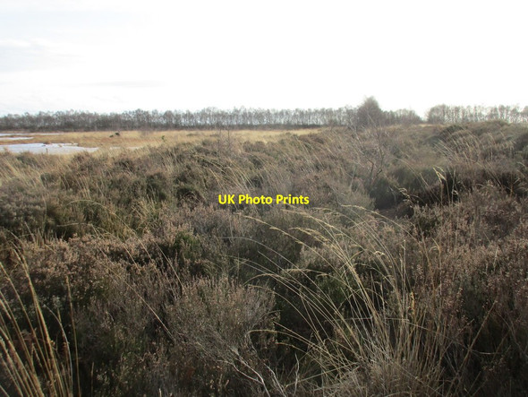 Photo 6"x4" View towards Lindholme Bank Road Hatfield Woodhouse c2017