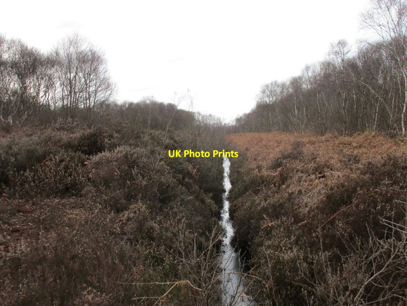 Photo 6"x4" Drain through ling and birch Hatfield Woodhouse c2017