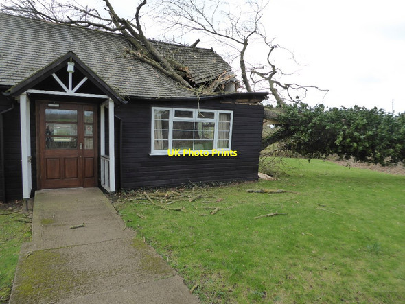 Photo 6"x4" Tree fallen on Earl's Croome Village Hall #3 Baughton c2017