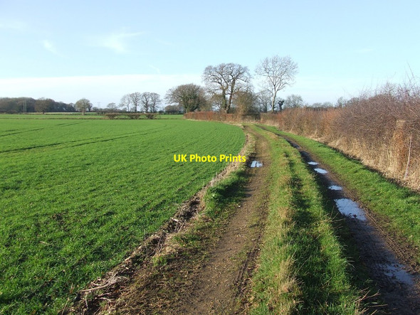 Photo 6"x4" Footpath Looking West Uggeshall c2017