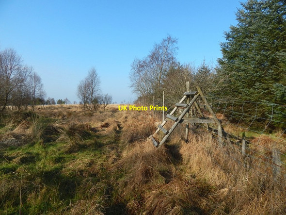 Photo 6"x4" Stile on a deer fence Alexandria c2017