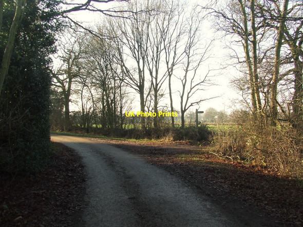 Photo 6"x4" Minor Road Footpath Halstead\/TL8130 c2017