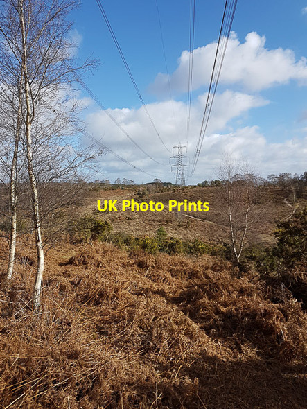 Photo 6"x4" 400 KV Electricity lines across Hale Purlieu Hale\/SU1919 c2017