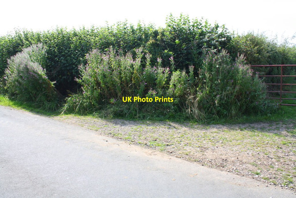 Photo 6"x4" Gateway from the minor road running north from Hipswell towards Colburn Brough With St Giles c2016