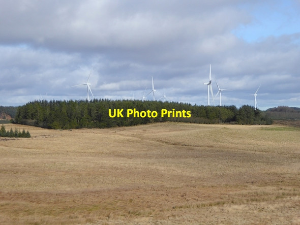 Photo 6"x4" Moorland and plantation in the Wanney Hills Ridsdale c2017