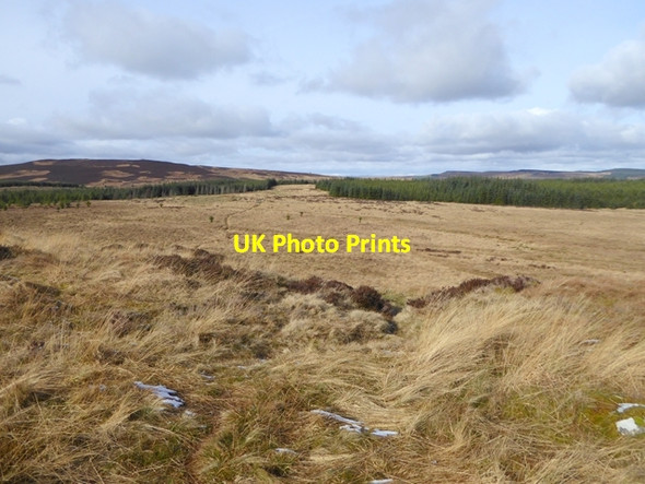 Photo 6"x4" Moorland and plantation in the Wanney Hills Ridsdale c2017 P1