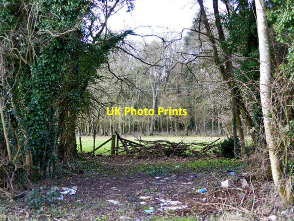 Photo 6"x4" Blocked field entrance Dean\/SU5619 c2017