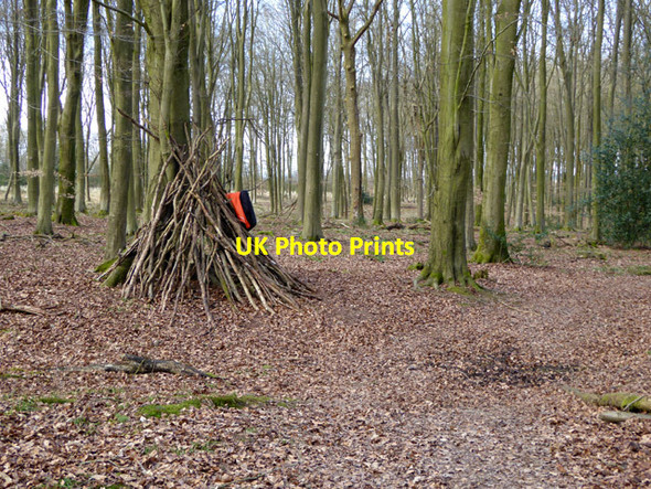 Photo 6"x4" Hide in Micheldever Wood Micheldever c2017