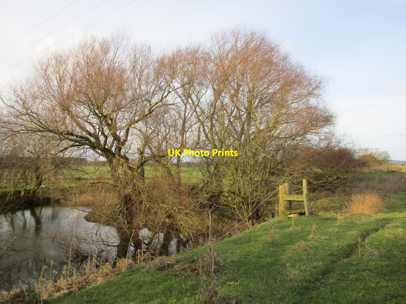 Photo 6"x4" The Market Weighton Canal Rascal Moor c2017