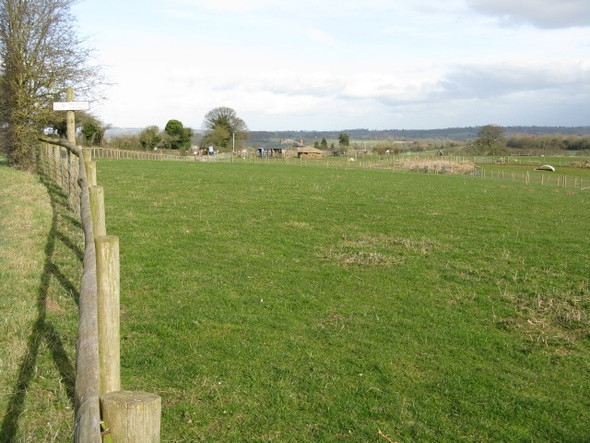 Photo 6"x4" Shortwood Farm Ullingswick c2009