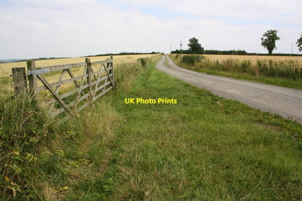 Photo 6"x4" Farm access road to Wintylow Tunstall\/SE2195 c2016
