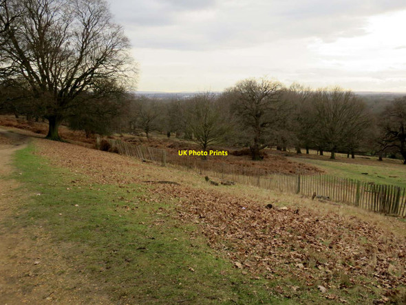 Photo 6"x4" Sudbrook Park from Richmond Park Kingston Upon Thames c2017