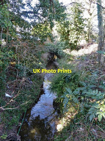 Photo 6"x4" Monken Mead Brook, Hadley Wood Hadley Wood c2013