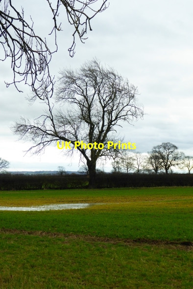 Photo 6"x4" Flooded field Claxton\/SE6960 c2017