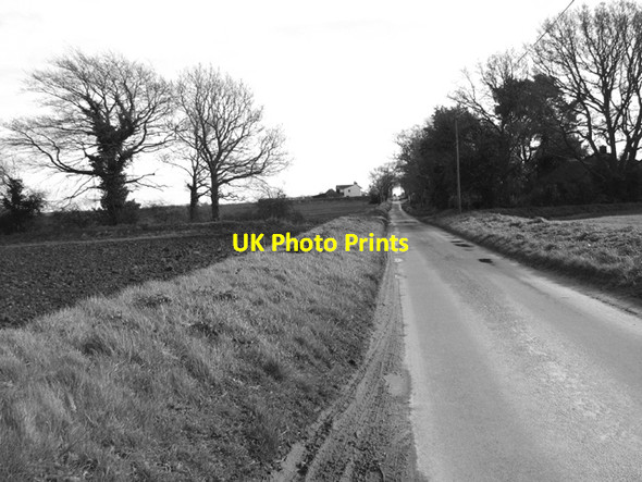 Photo 6"x4" View towards Mill Farm Fengate\/TG1924 c2017
