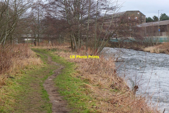 Photo 6"x4" Path on the north side of the Gala Water Galashiels c2017