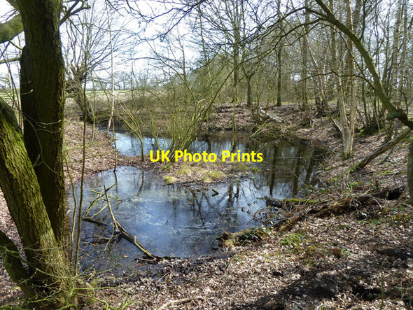 Photo 6"x4" Pond, Conduit Wood Lambourne\/TQ4796 c2013
