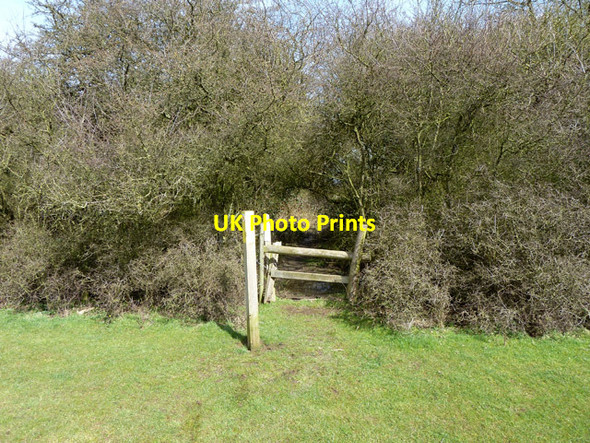Photo 6"x4" Stile at west side of Conduit Wood Lambourne\/TQ4796 c2013