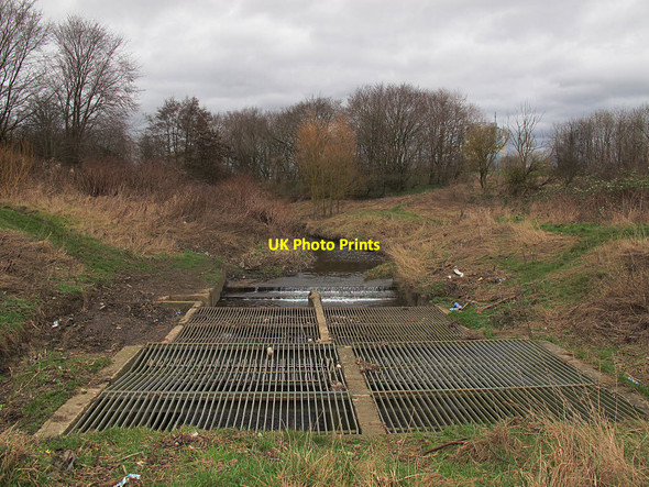 Photo 6"x4" Trash screen on the Wyke Beck Cross Green\/SE3232 c2017