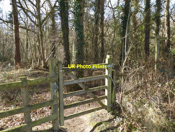 Photo 6"x4" Footpath enters woodland Ansty\/TQ2923 c2017