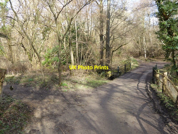 Photo 6"x4" Bridleway crosses stream by footpath junction Ansty\/TQ2923 c2017