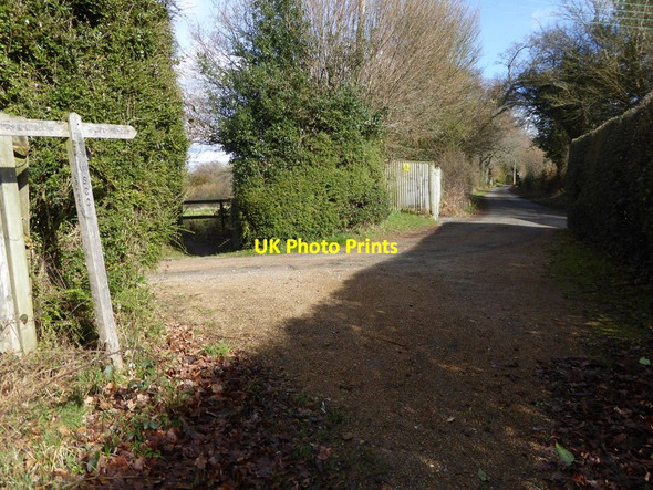 Photo 6"x4" Bridleway emerges onto Copyhold Lane Ansty\/TQ2923 c2017