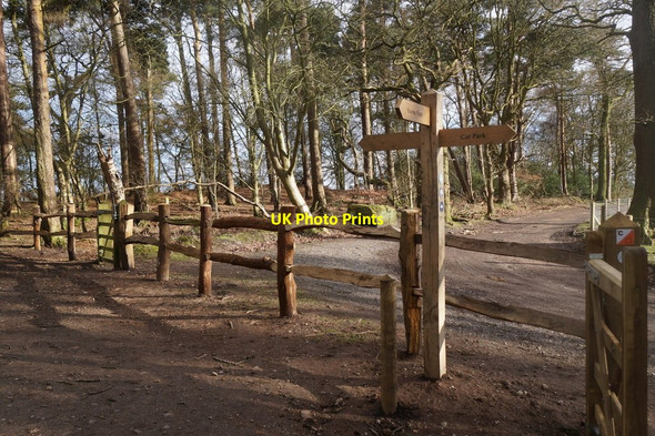 Photo 6"x4" Signpost on Alderley Edge Alderley Edge\/SJ8478 c2017